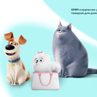 SMM-стратегия: разбираем поэтапно на примере товаров для домашних животных