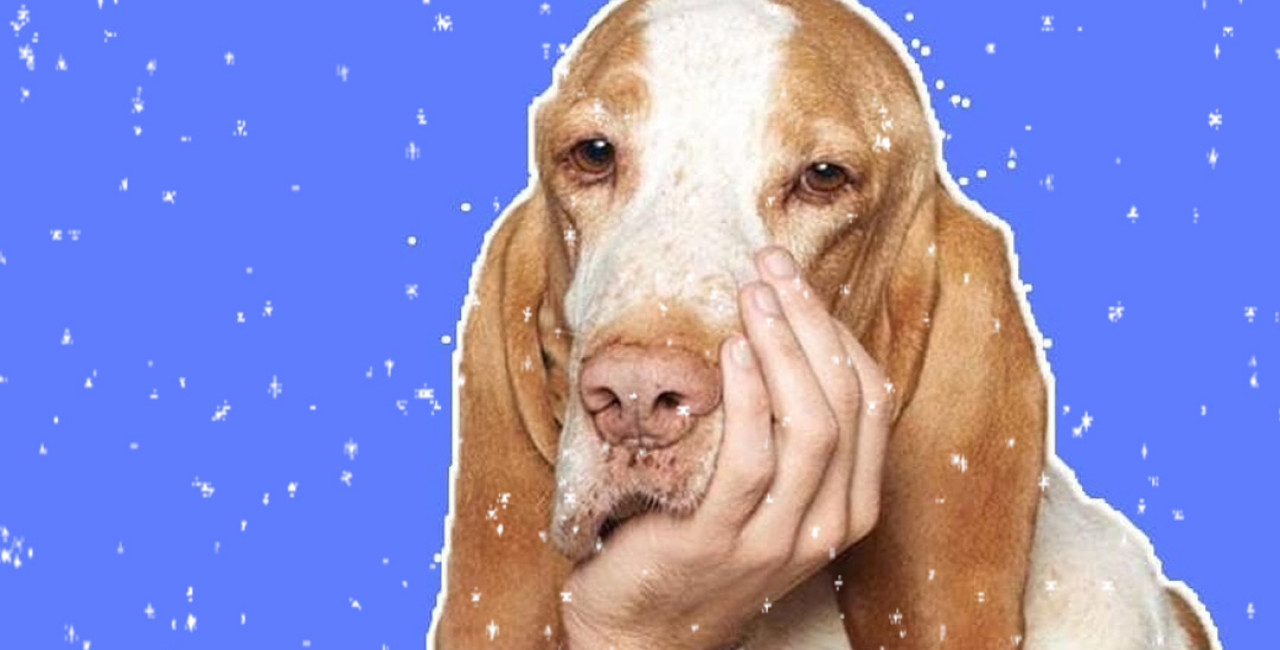 Запускать или нет? Что делать с рекламой 1-8 января