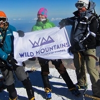 Чем занимались наши логотипы в 2014