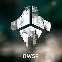 OWSP: о планах и грядущем выходе на greenlight