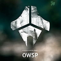 OWSP: первое обновление после получения зеленого света