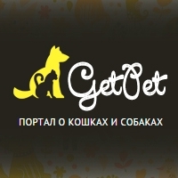 Новая функциональность портала GetPet
