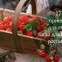 Email база для рассылки:17 эффективных приемов для сбора