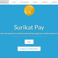 Отзывы о сайте Surikat-pay.ru