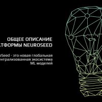 Общее описание платформы NeuroSeed