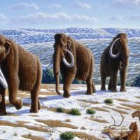 ​Почему нельзя гордиться тем, что ты мамонт