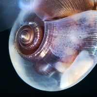 Медиадизайн. Часть 1