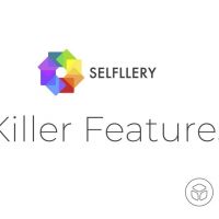 Монетизация социальной активности в рамках SELFLLERY