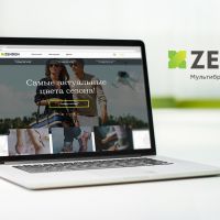 Создание интернет-магазина Zenden.ru