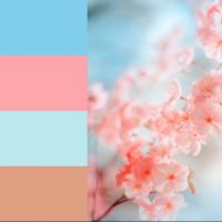 ​Какие оттенки цветов подходят друг другу? Какие цвета сочетаются на сайтах гармонично?