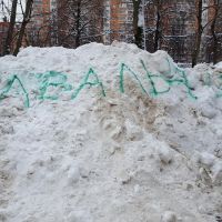 Как помогает и вредит логическая ошибка «Случай из жизни»