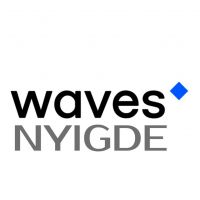Кошелек на WAVES. Как купить токен NYIGDE