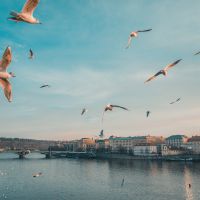 Как привлечь трафик на сайт