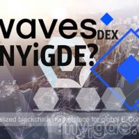 Особенности WAVES DEX и ее интеграции в маркетплейс НУиГДЕ?