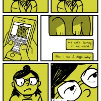 New cat memes compilation 2019