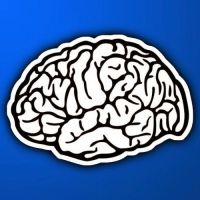 Что такое Нейропластичность. Ричард Дэвидсон. План выпусков статей