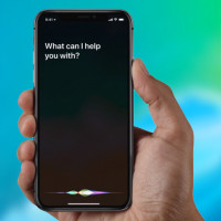 Apple прослушивает частные разговоры пользователей