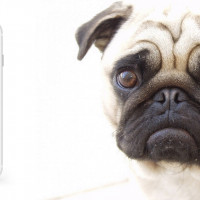 МОбс — телеграм-бот для ведения финансов в Google Sheets, или еще один способ учитывать свои платежи