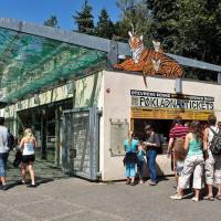 Транспорт в Праге и Чехии