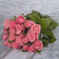 Цветочный обозреватель: Розы