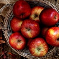 Ученые подсчитали, какое количество микробов содержится в одном яблоке