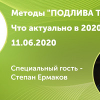 Методы Подлива Трафика:Вебинар про SEO стратегии со Степаном Ермаковым