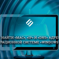 Как посмотреть «MAC», «IP» и «DNS» адреса в Windows 10?