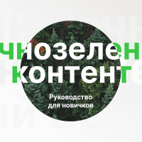 Что такое вечнозеленый контент (evergreen content)? Руководство для новичков