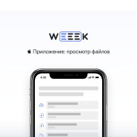 WEEEK Week #28: Файлы в мобильном приложении на iOS