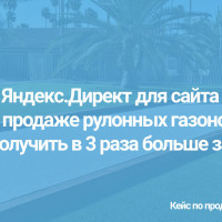 Яндекс.Директ для сайта по продаже рулонных газонов. Как получить в 3 раза больше заявок