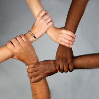 Толерантность или интернационализм?