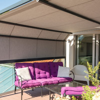 Огромное разнообразие маркиз