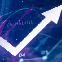 Секрет победителей торгов — аналитика рынка