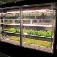 Horticulture LED Lighting Market: Industry Outlook Research Report 2020-2027