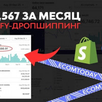 Кейс: $131,567 за первый месяц работы дропшиппинг-магазина на Shopify