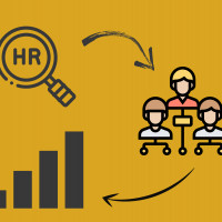 Организация эффективной HR системы: структура, оценка, управление