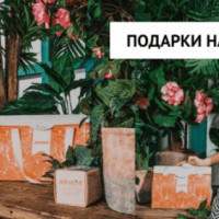 Выбираем корпоративные подарки на 8 Марта