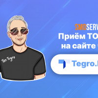 Платежная система «TegroMoney» теперь принимает TON (Toncoin)