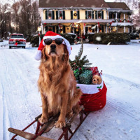 Пример сценария для рекламного ролика