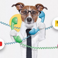 Как коллтрекинг увеличит ваши продажи