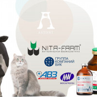 Ветеринарные препараты: продвижение в интернете