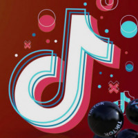 Руководство для начинающих по продвижению салона красоты на Tik Tok
