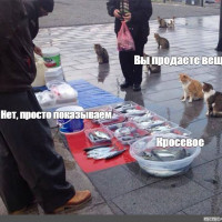 Санкции и модные бренды — где теперь покупать одежду