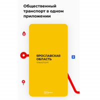 У общественного транспорта Ярославской области появилось мобильное приложение