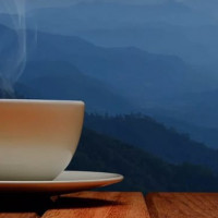 Как сделать удобный сайт. Правила юзабилити для создания сайта