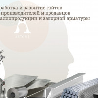 Металлопрокат и запорная арматура: продвижение в интернете