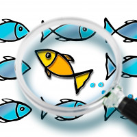 Не вписалась в формат