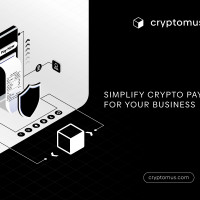 Как бизнесу принимать криптовалюту? Немного про Cryptomus