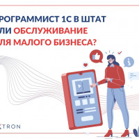 Программист 1С в штат или сопровождение?