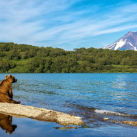 Что делать, когда весь мир против, а душа требует путешествий?